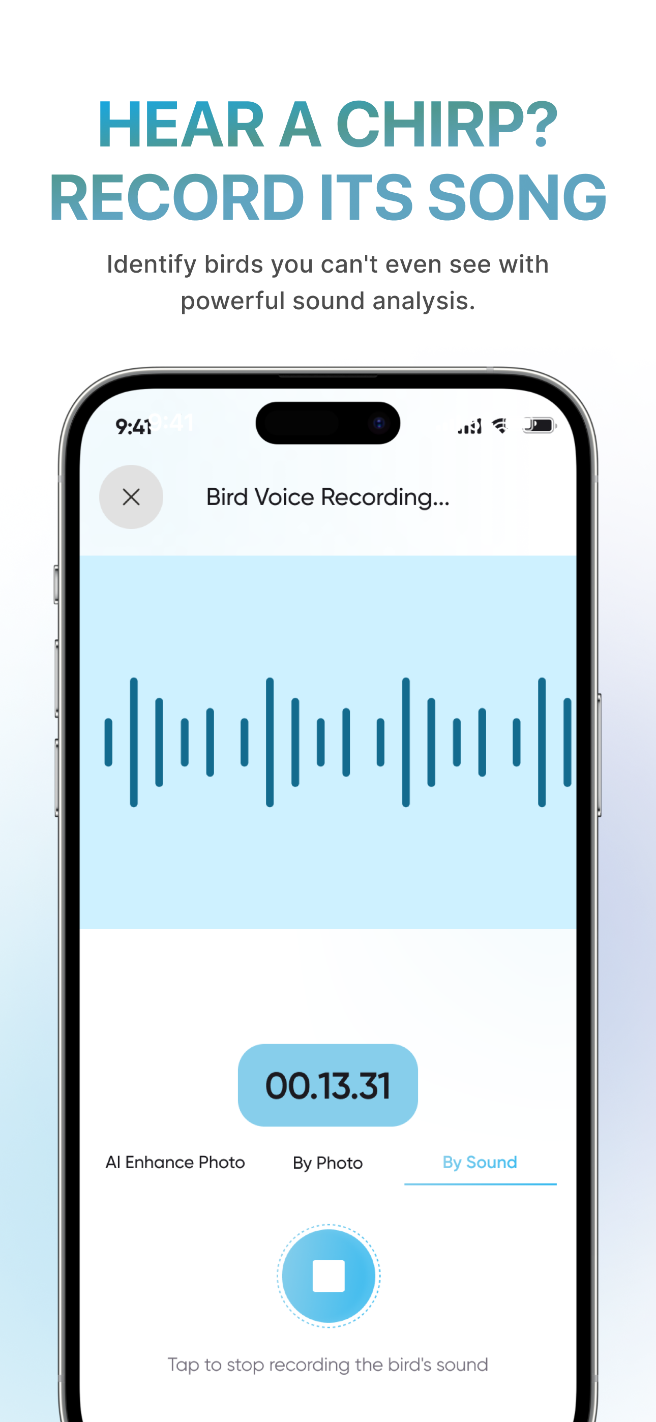 BirdBrain: Bird Identifier screenshot 4