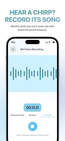 BirdBrain: Bird Identifier screenshot