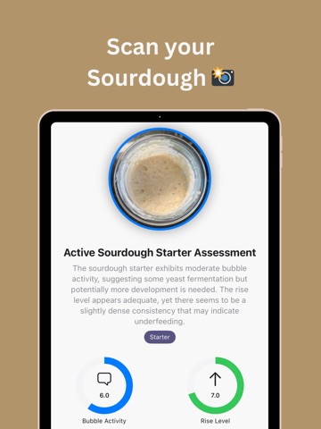 Loaflo: Sourdough Starter iPad screenshot