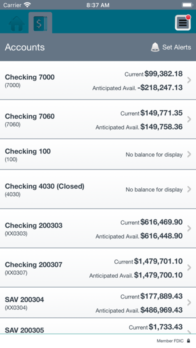 Chemung Canal Capital Business Screenshot