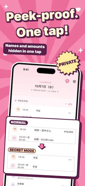 Luludiary: Private Client Log screenshot 1