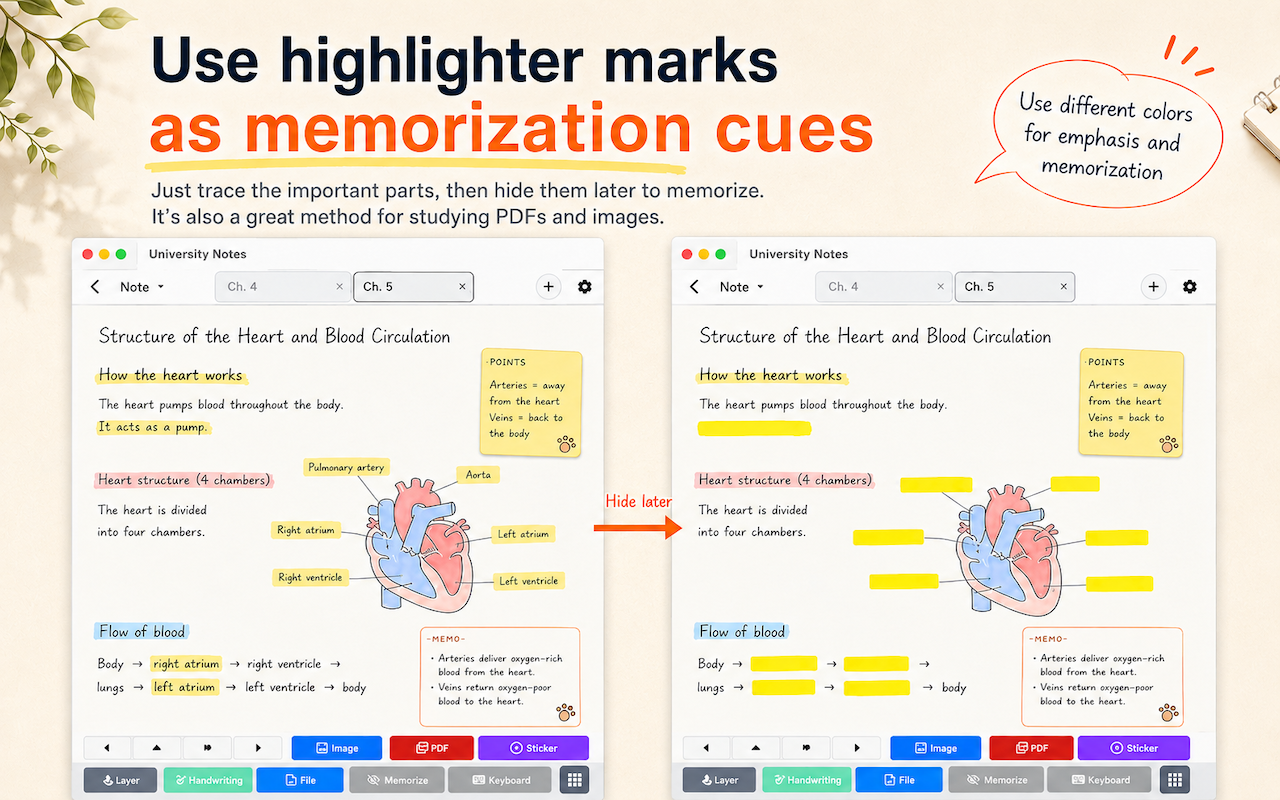 University Notes: Study Notes screenshot 15