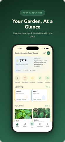 Seed Sown Screenshot 1 of 5