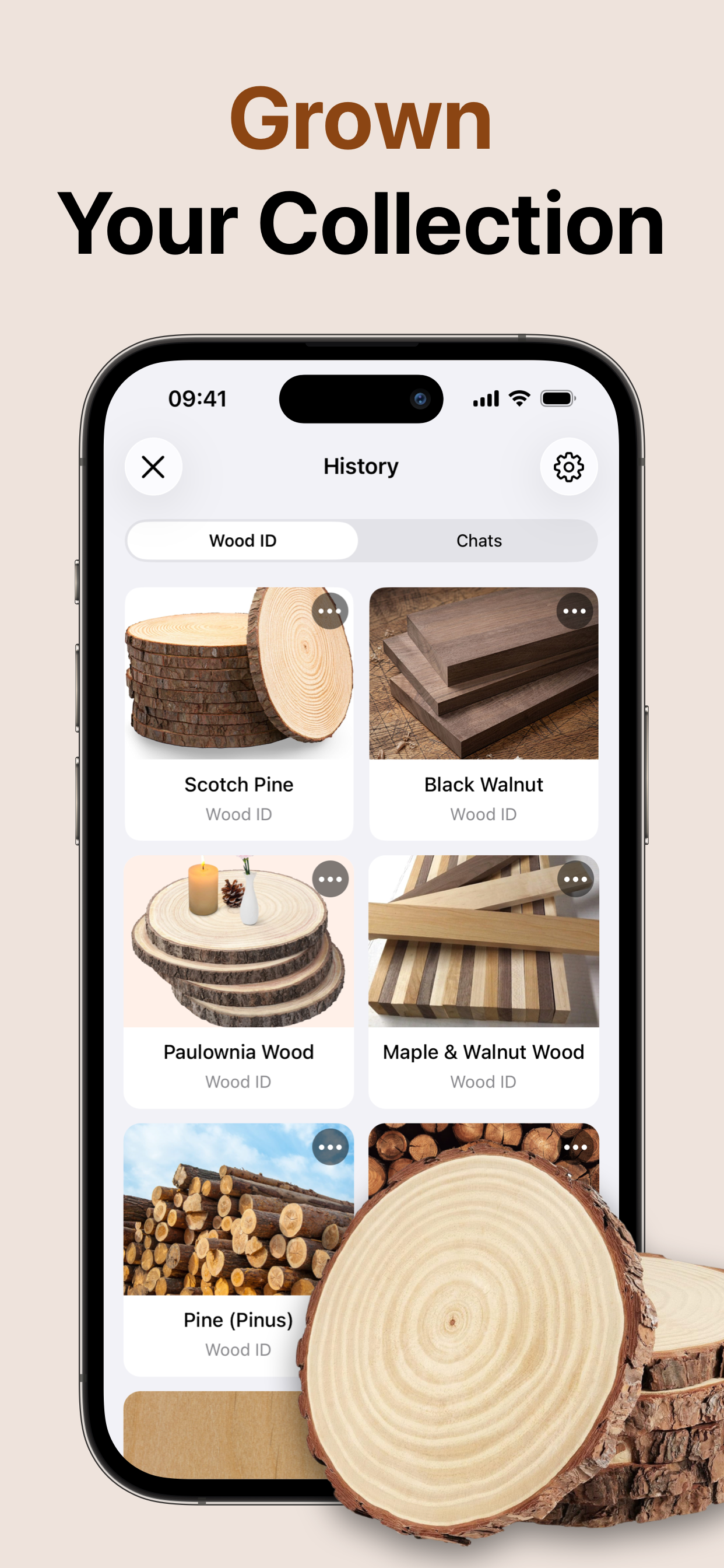 Wood Identification . screenshot 4