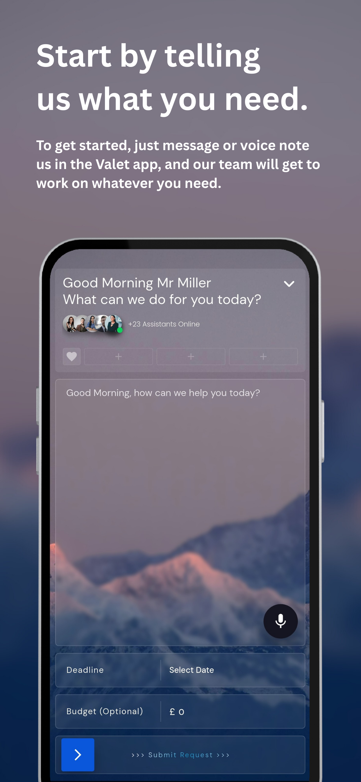 Valet. screenshot 3