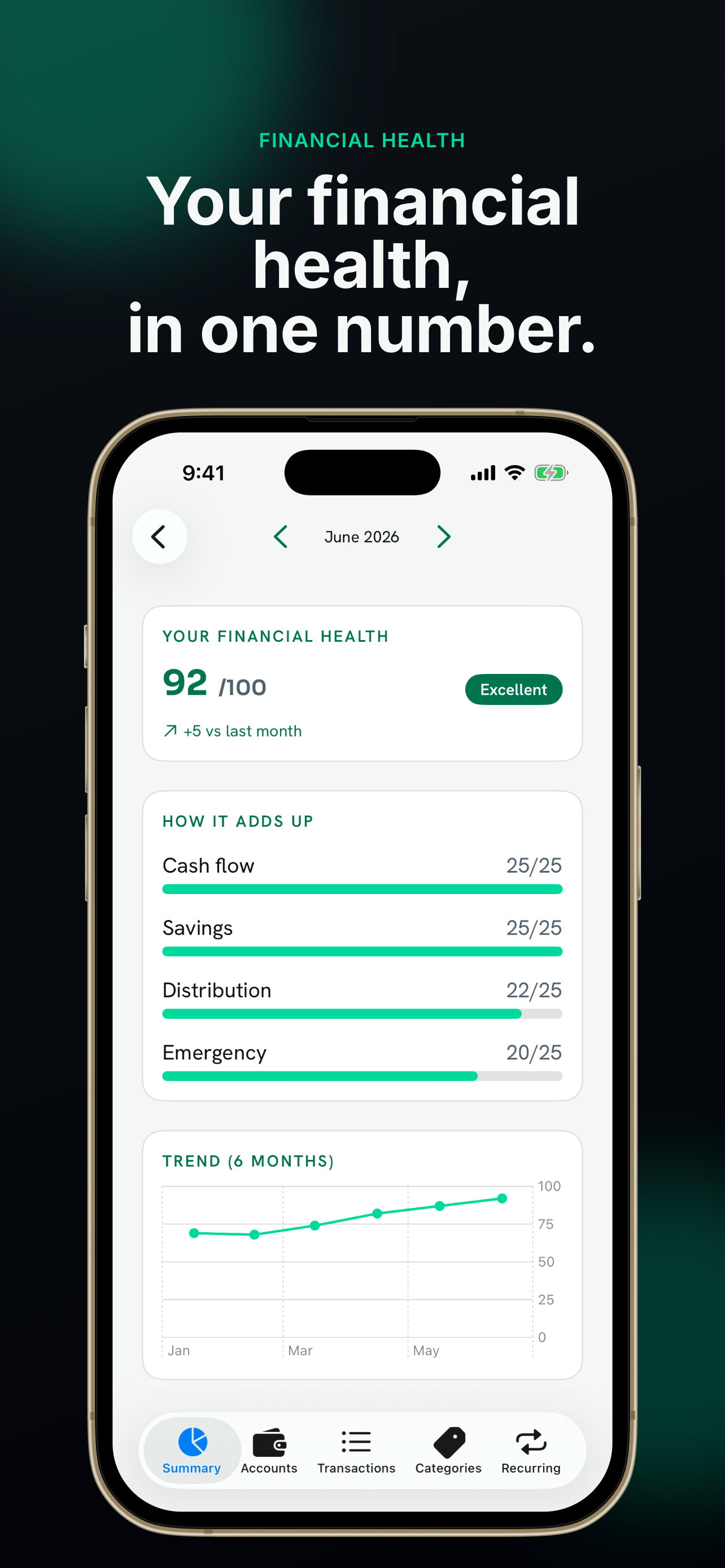 Caudara: Cash Flow screenshot 4