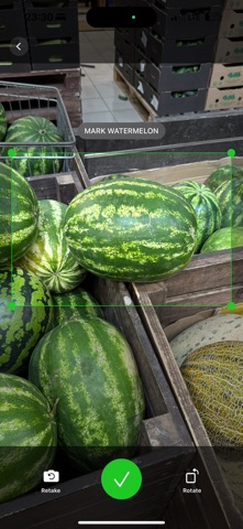 RipeMelon: Watermelon Analyzer screenshot