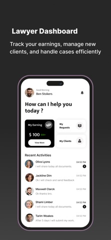 Legal Platform Screenshot 8 of 8