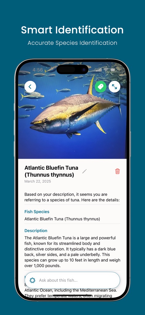 Fish Identifier AI: Fish ID - Reference App | MWM