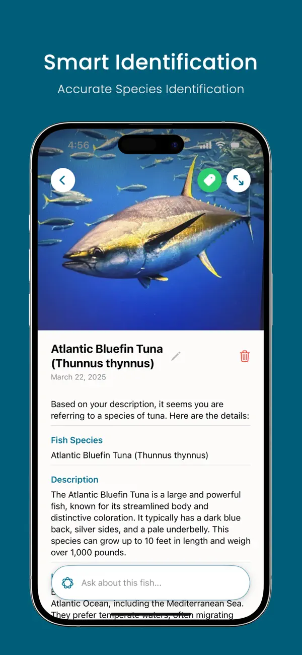 Screenshot #2 pour Fish Identifier AI: Fish ID