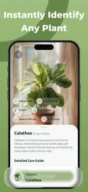 PlantyX: Plant Identification screenshot 2