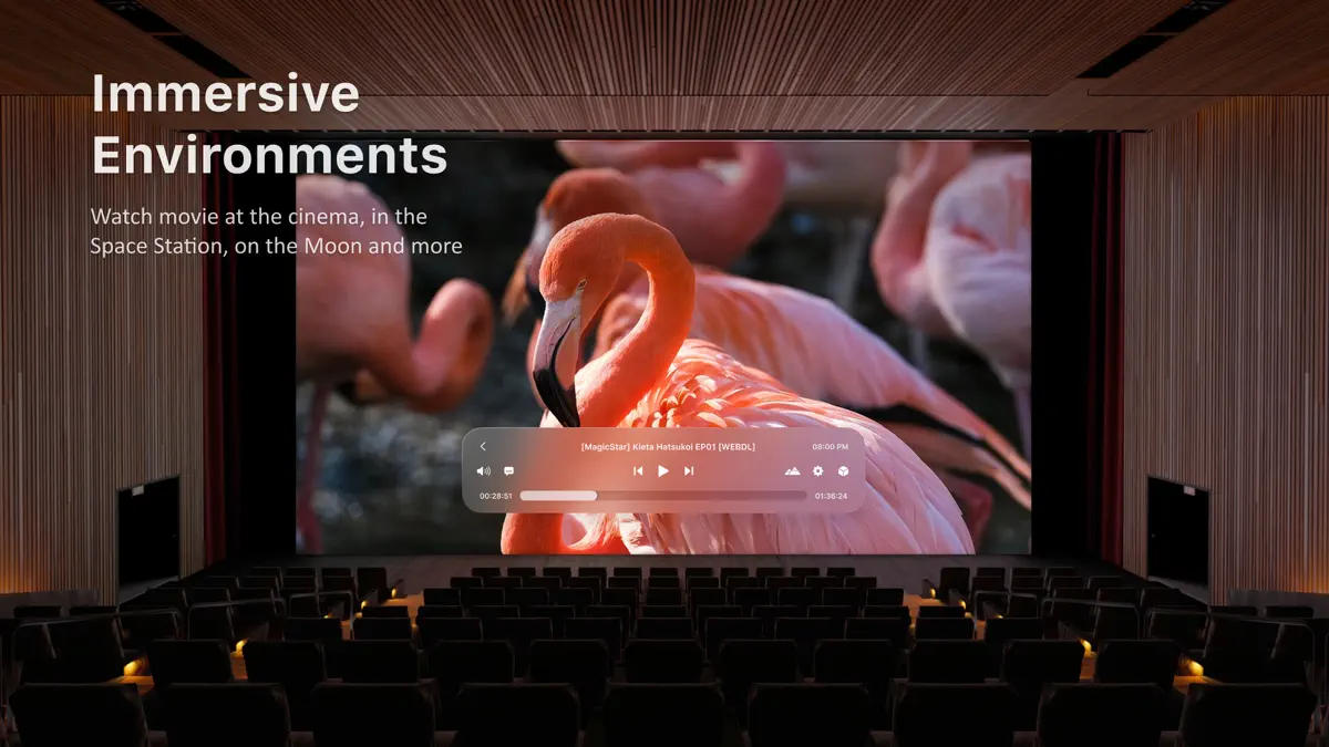 SKYBOX Media Player screenshot 2