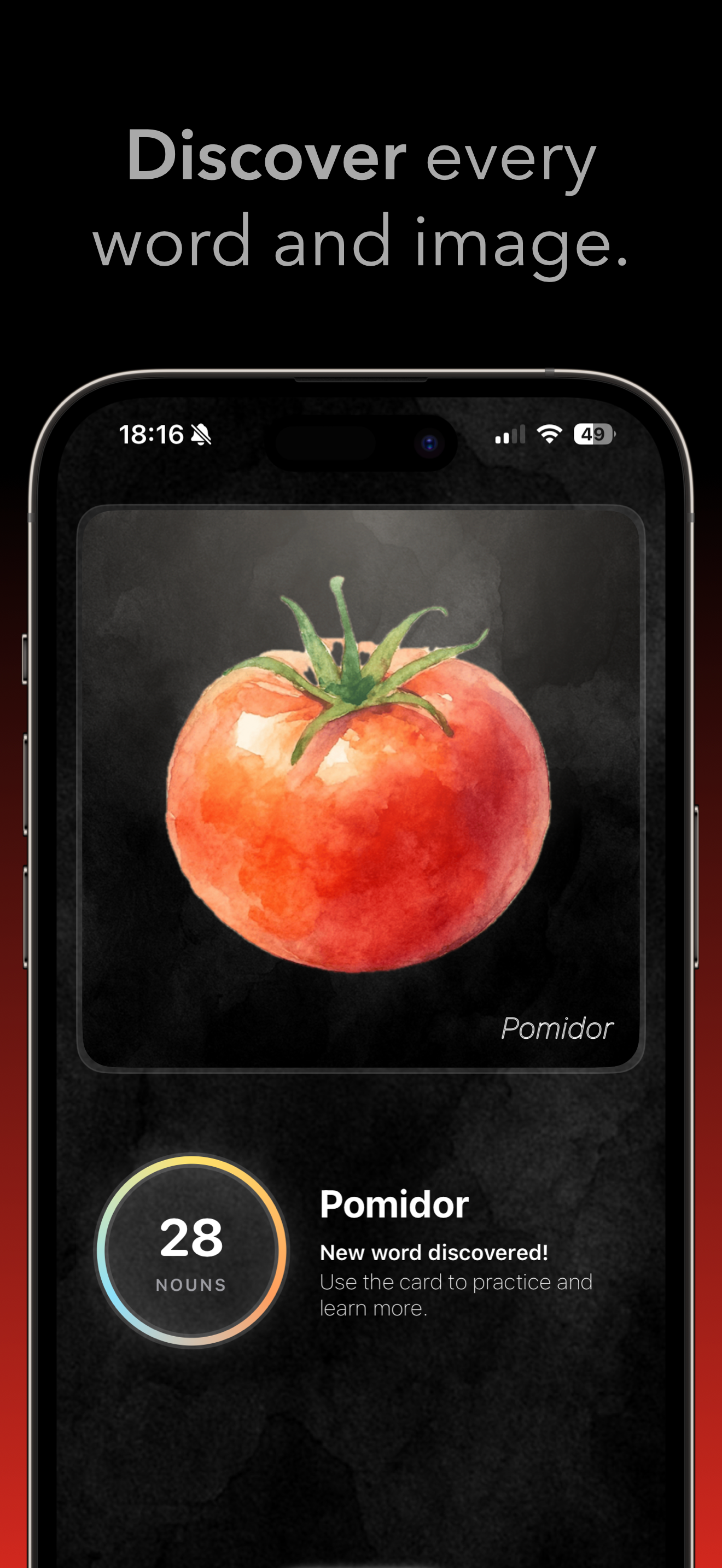 Zorza: Learn Polish Nouns
