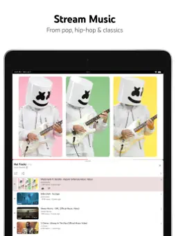 YouTube screenshot 13