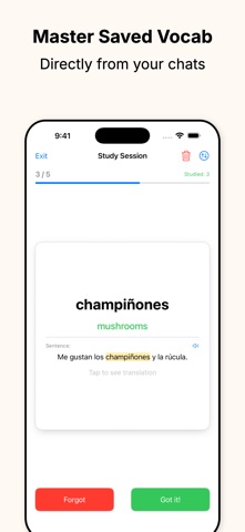 HaiBella: Smart Vocab Learning screenshot