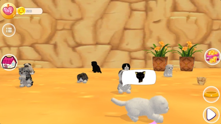 My Lovely Kitty Cat screenshot-5