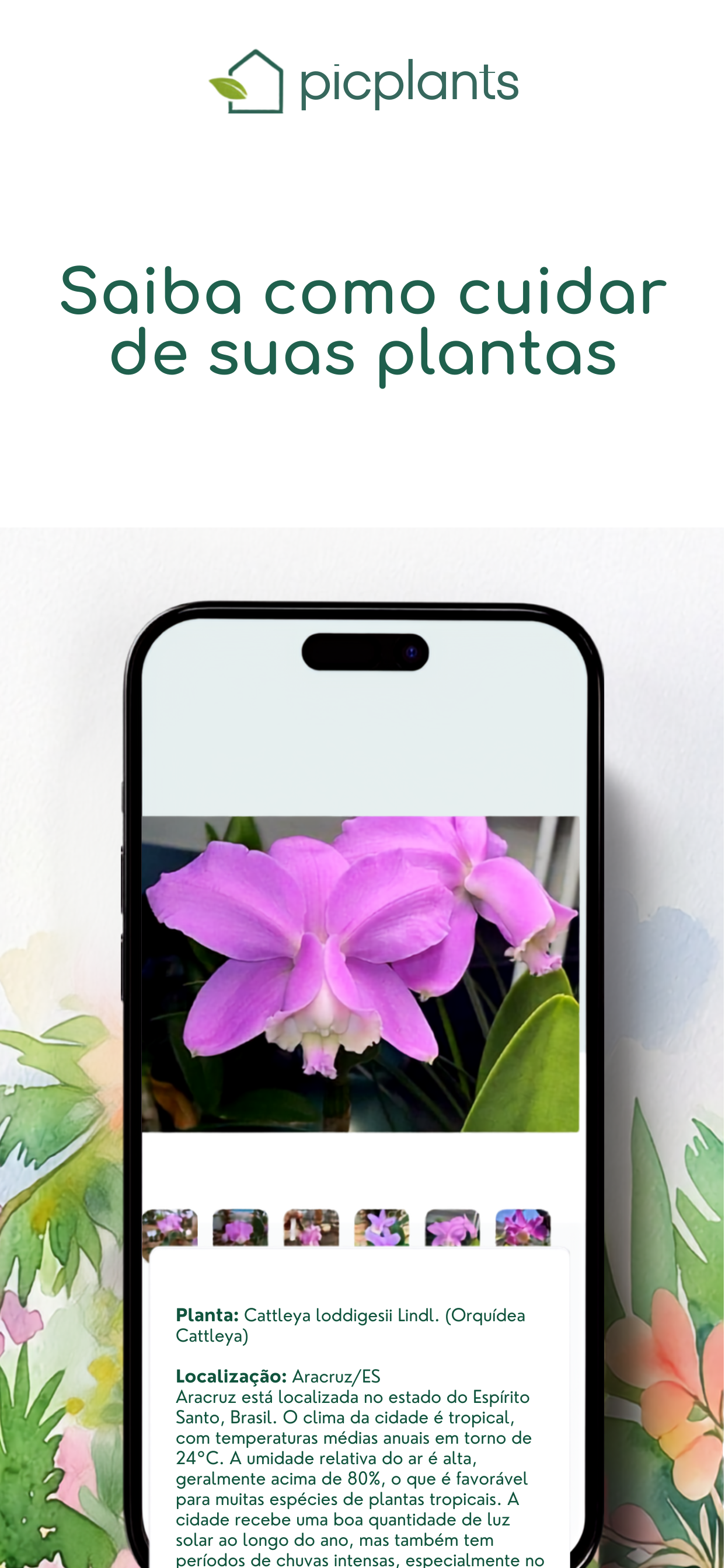 Picplants screenshot 4