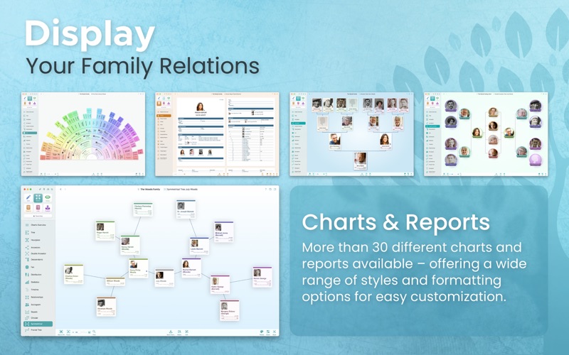 MacFamilyTree 11 Screenshot