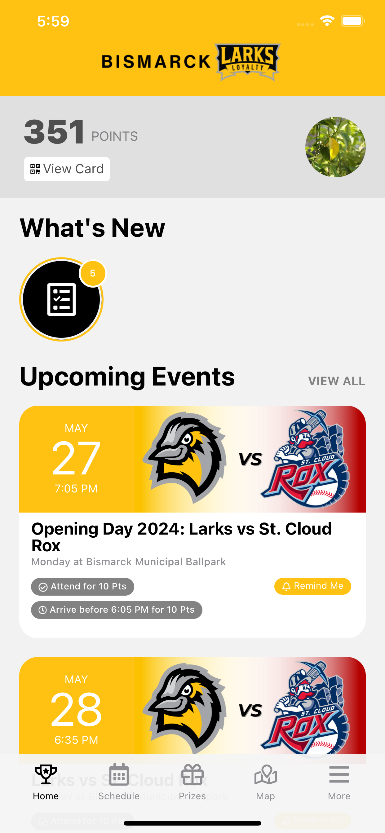 Larks Loyalty