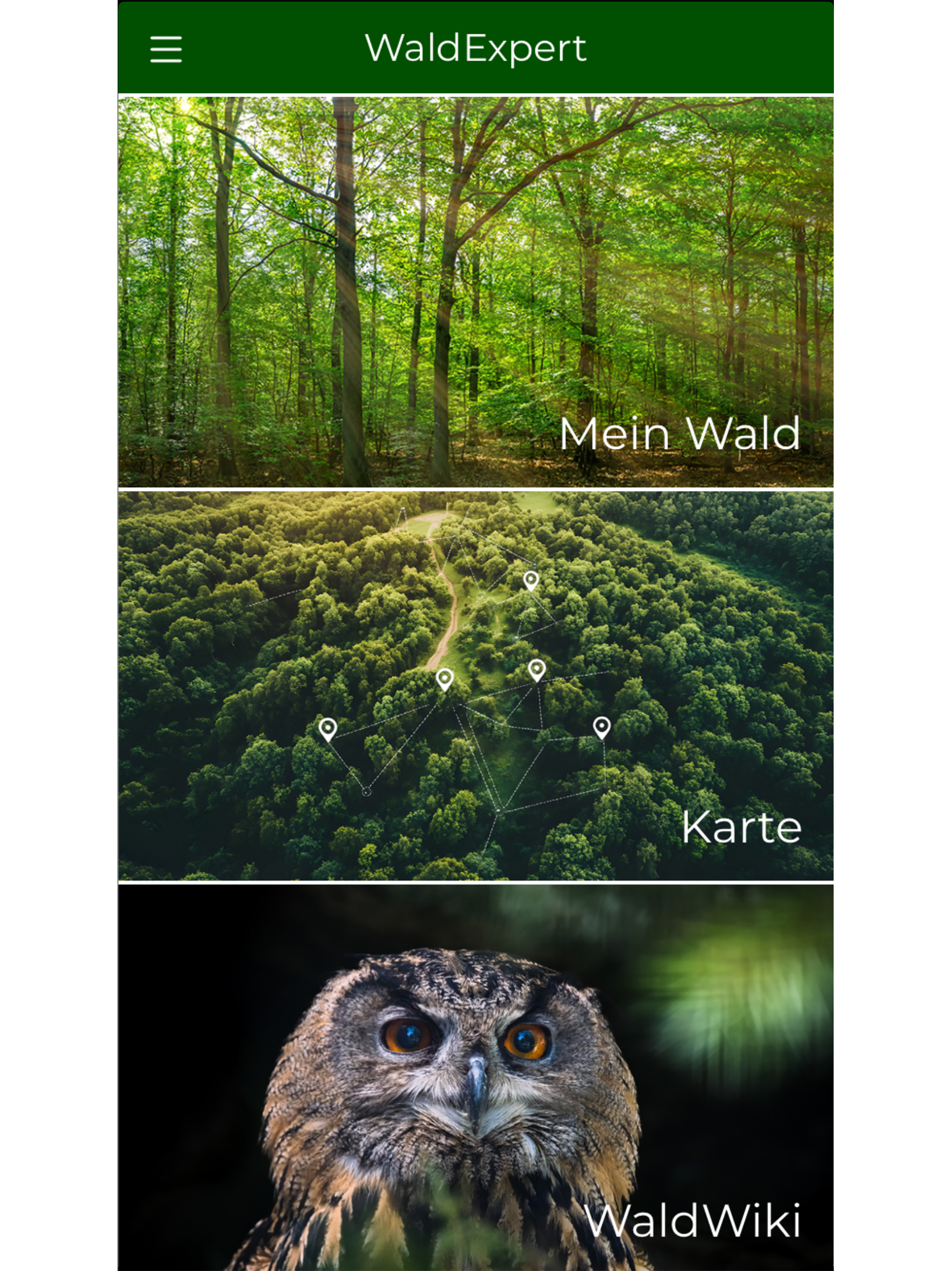 WaldExpert screenshot 7