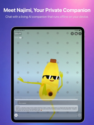 Najimi: Private AI Companion iPad screenshot