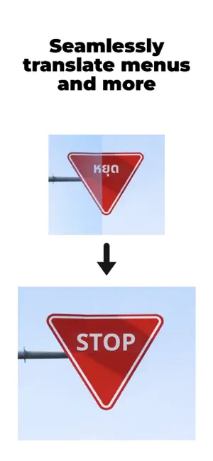 Translate Picture App screenshot 3
