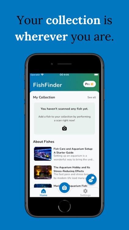 FishFinder - Fish Identifier
