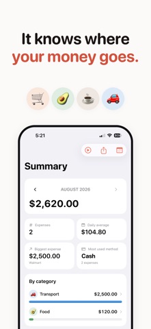 Sonanta: Voice expenses iPhone screenshot