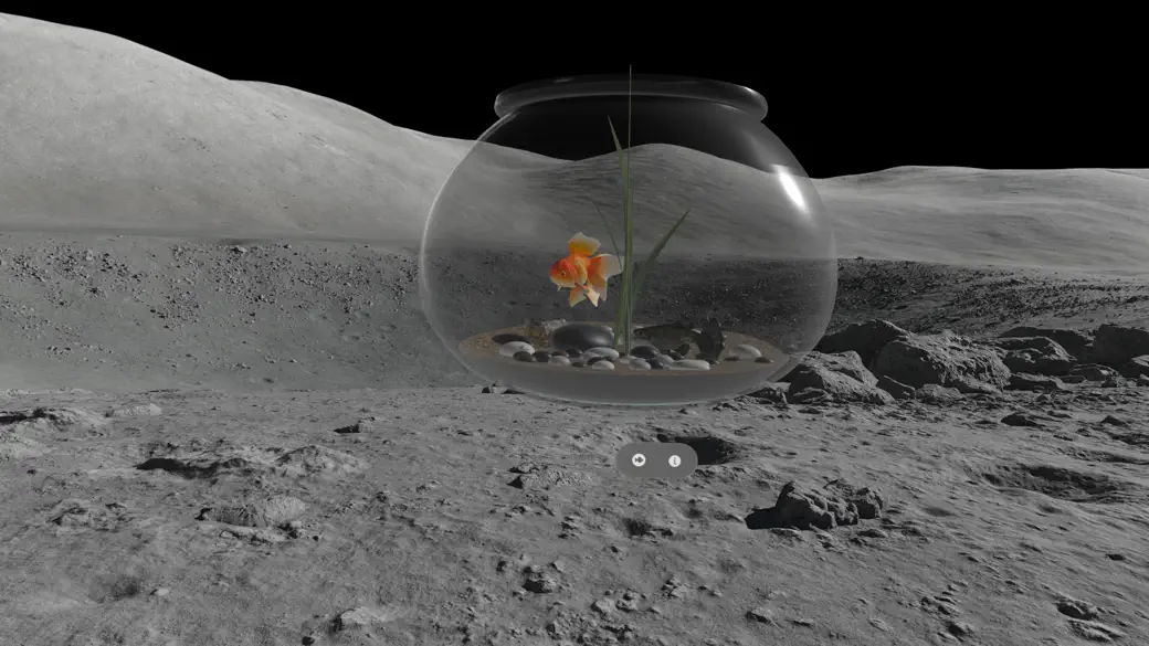 Desktop Aquariums screenshot 4