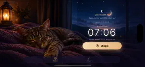 Feline Alarm screenshot 3