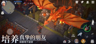冰原守卫者 screenshot