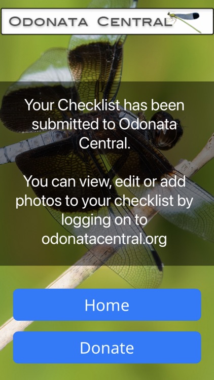 Odonata Central screenshot-4