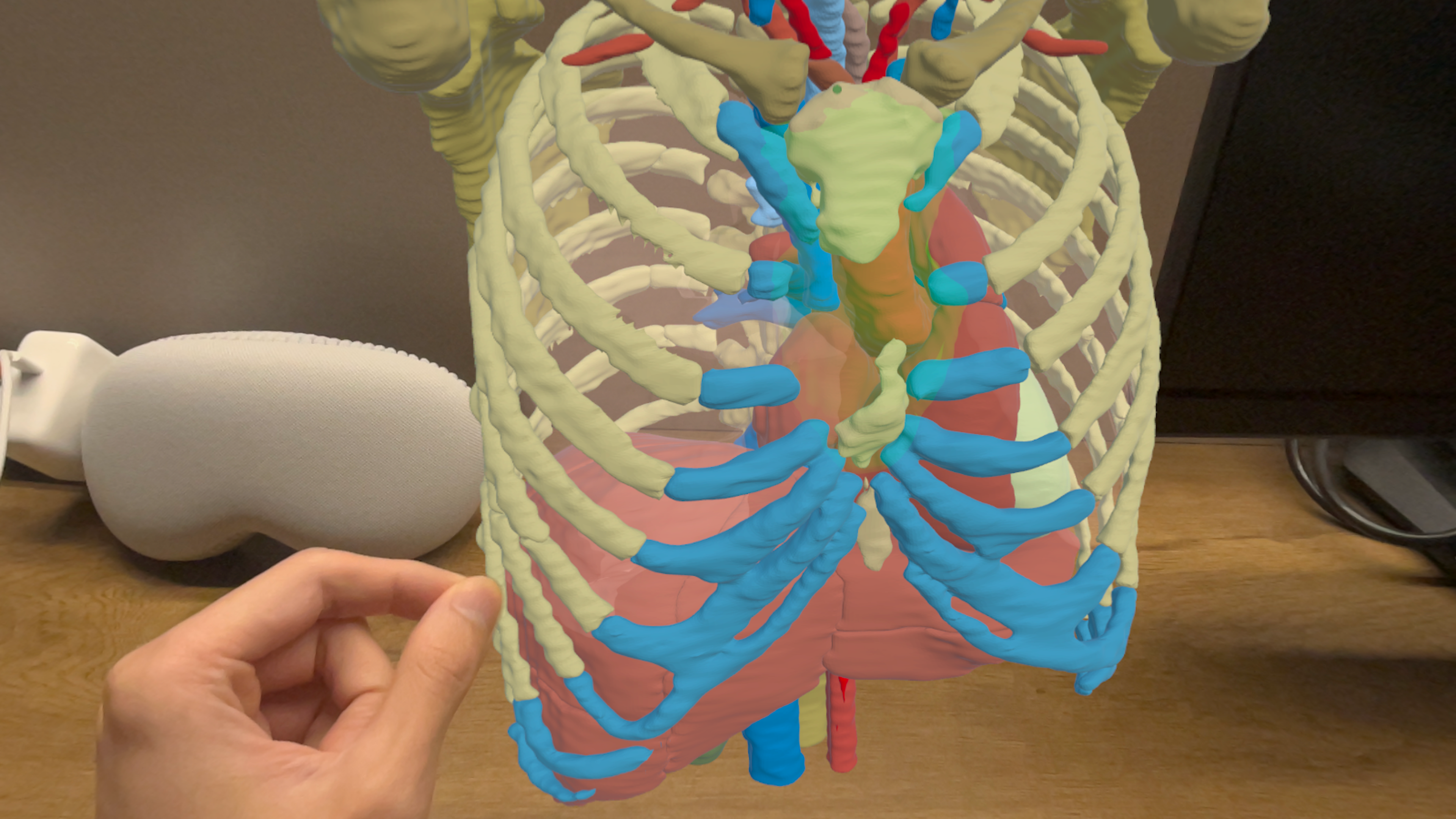 Anatomy Cloud Viewer screenshot 4
