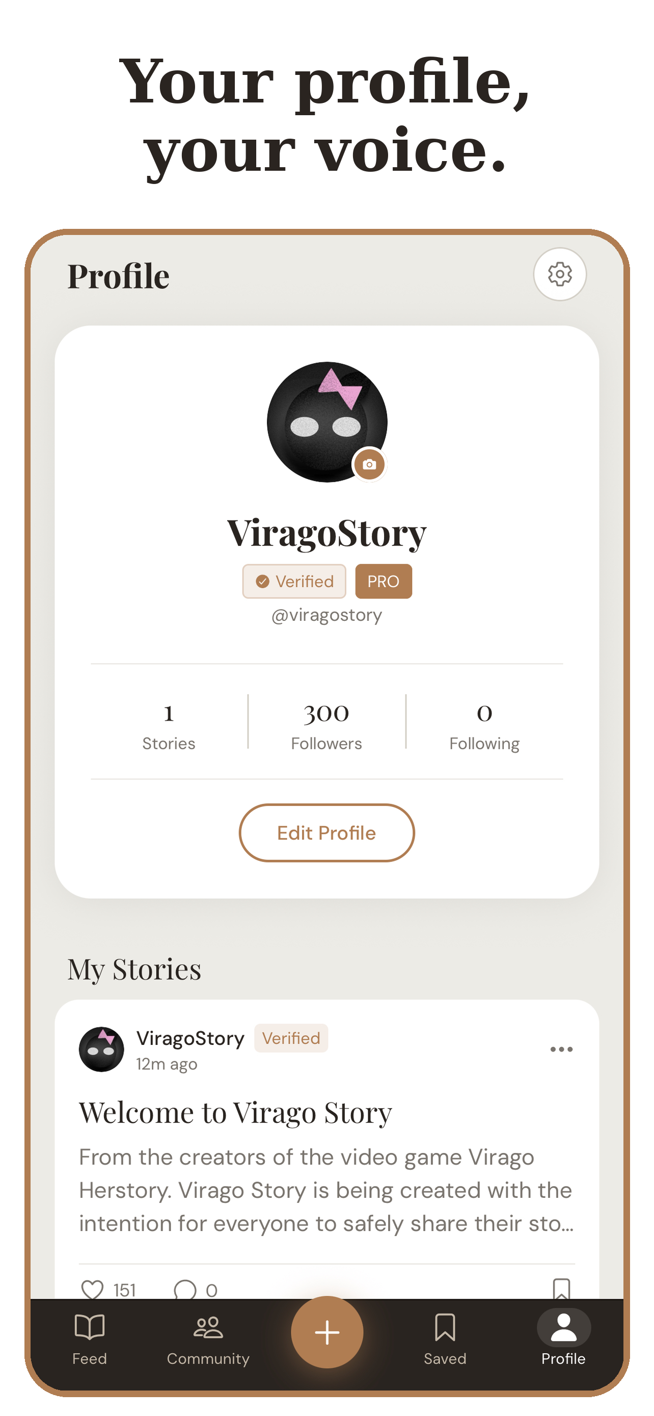 ViragoStory