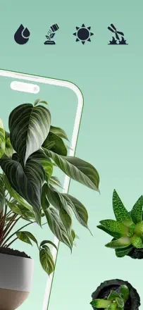 Plant & Bug Identifier : capture d’écran 2 sur 7