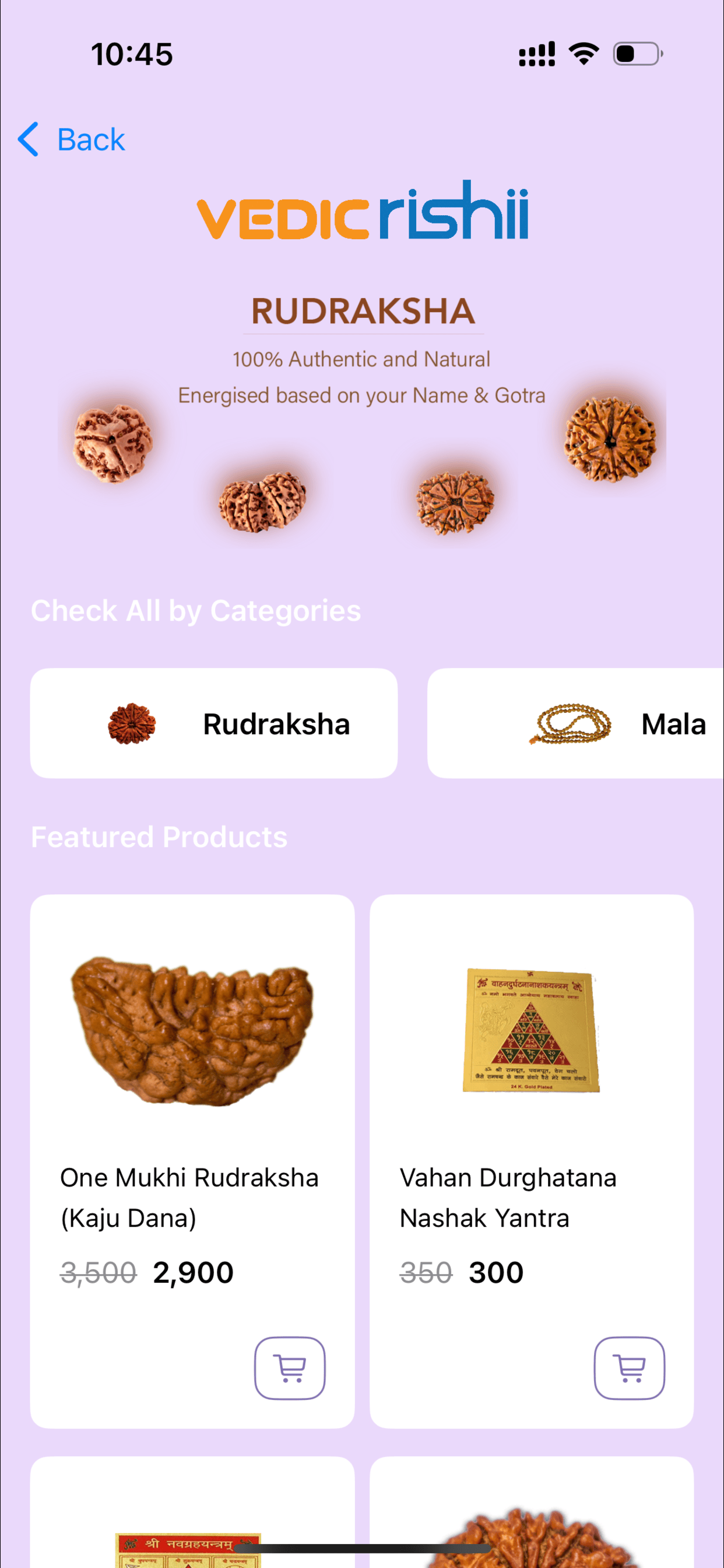 Vedic Store