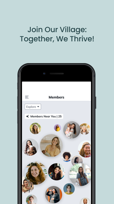 MOMSET Community screenshot