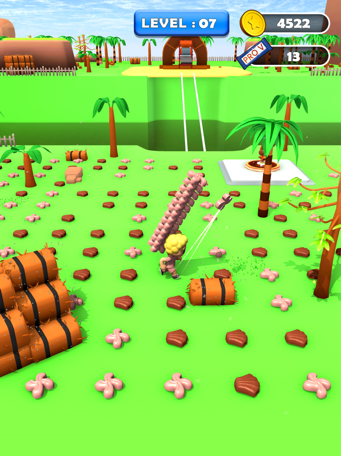 Chocolate Boy Run Bridge Race