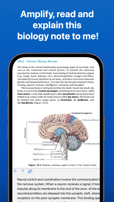 Magnifying Glass + AI, Voice Screenshot