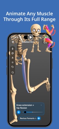 Art Anatomy screenshot 5