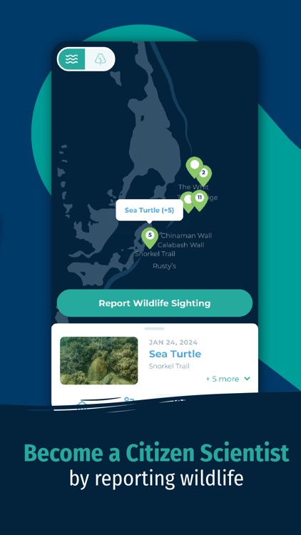 Visit Turneffe screenshot-4