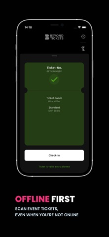 Beyond Entry screenshot