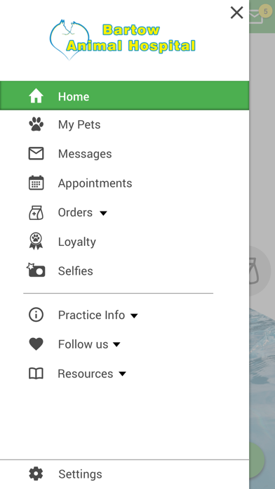 Bartow Animal Hospital Screenshot
