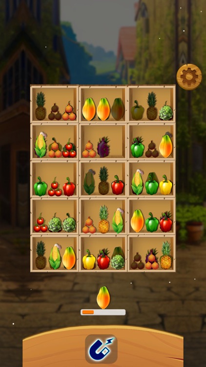 Sort Grocery Store Organizer