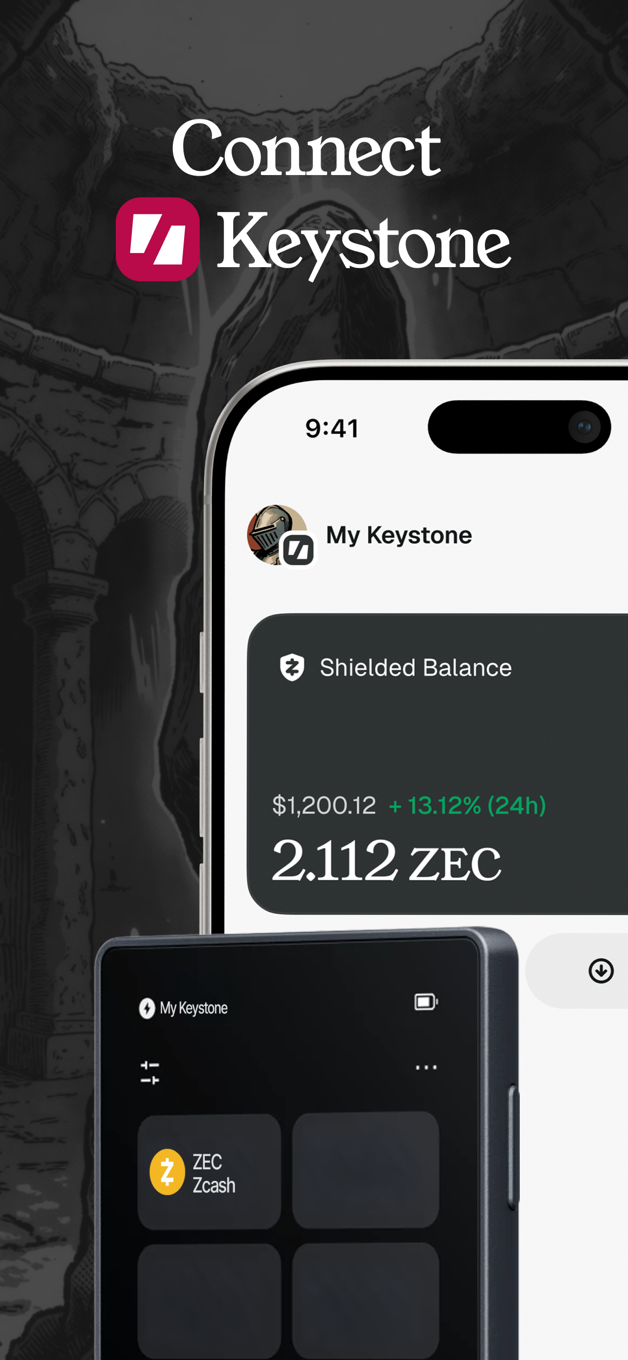 Vizor Wallet screenshot 4
