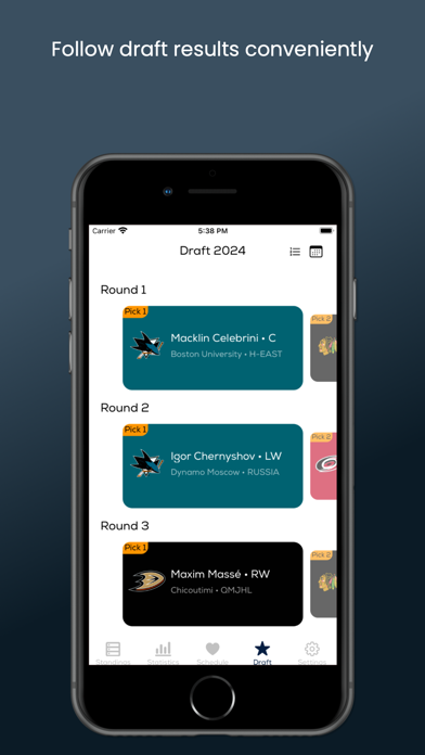 Hockey Insight Screenshot
