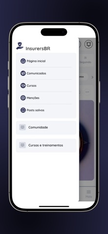InsurersBR screenshot