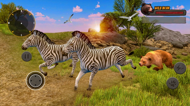 Grizzly Bear Wild Attack