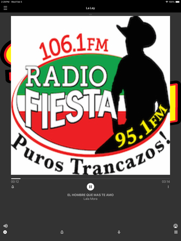 Screenshot #4 pour Radio Fiesta WLMX