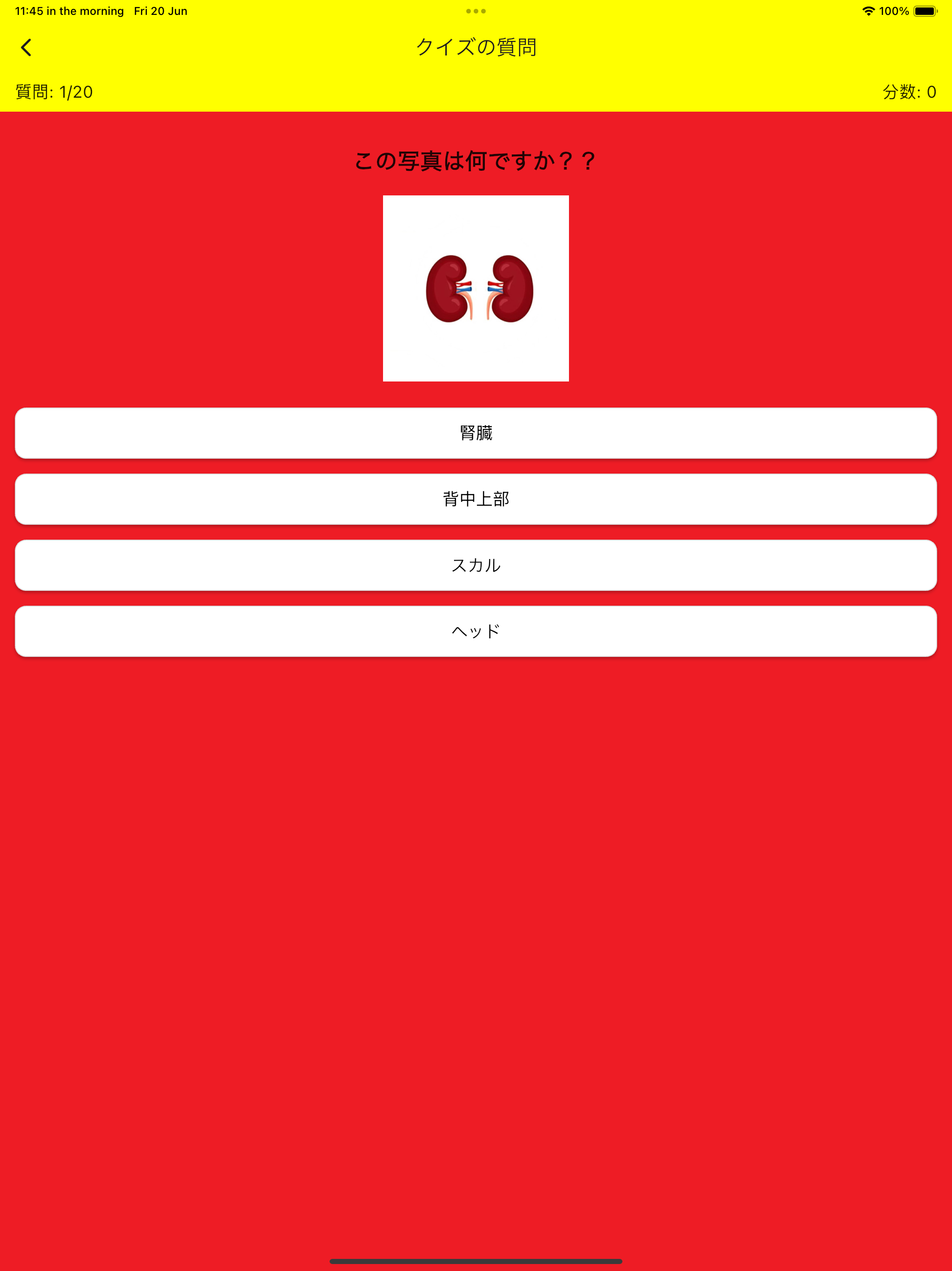 Learning Japanese Body Parts